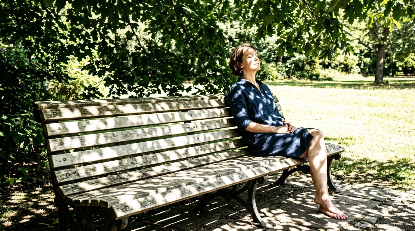 Midsummer Shade: Dappled Light Moves Across the Seat